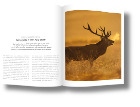 Digital Publishing – vom Katalog zur APP mit InDesign